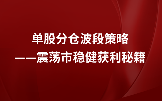 单股分仓波段策略