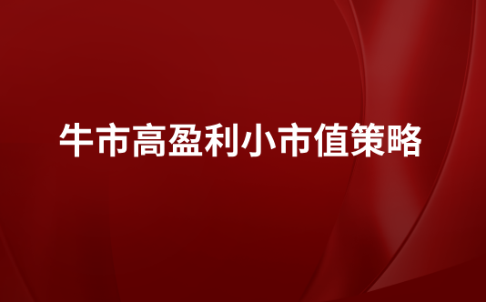 牛市高盈利小市值策略